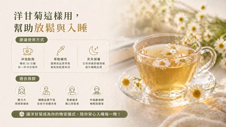 洋甘菊三種使用方式（沖泡飲用、萃取補充、天天保養）及四大適合族群（壓力大、睡眠不佳、思慮過多、中高齡）。