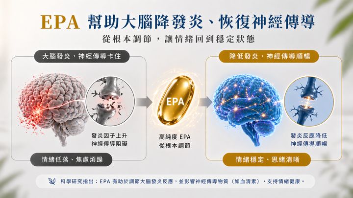 EPA幫助大腦降發炎、恢復神經傳導的三步驟機制資訊圖：大腦發炎導致神經傳導卡住，高純度EPA從根本調節，降低發炎後神經傳導恢復順暢。