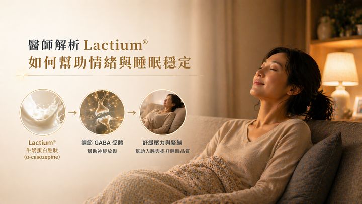 Lactium作用機制三步驟資訊圖：Lactium牛奶蛋白胜肽α-casozepine，調節GABA受體幫助神經放鬆，舒緩壓力與緊繃，幫助入睡與提升睡眠品質。