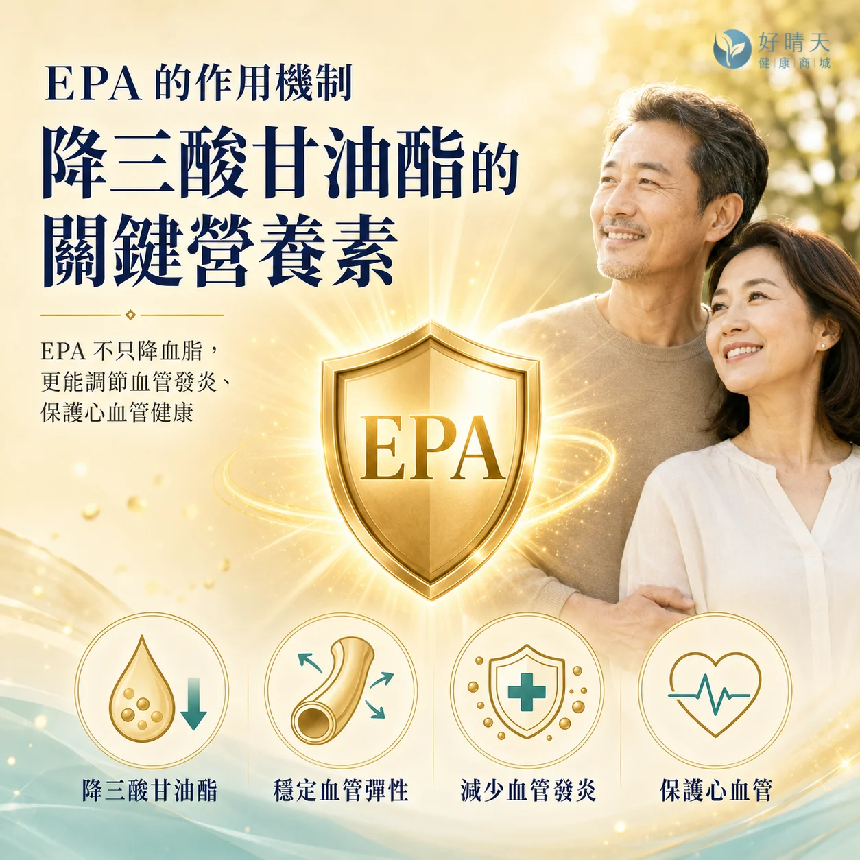 EPA 作用機制示意圖:降三酸甘油酯、穩定血管彈性、減少發炎、保護心血管