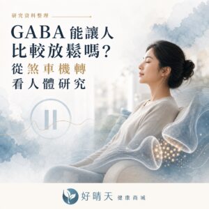 GABA 放鬆機轉與人體研究文章封面
