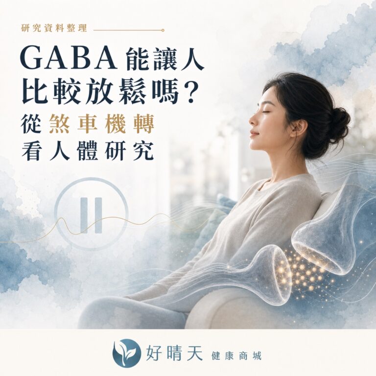 GABA 放鬆機轉與人體研究文章封面
