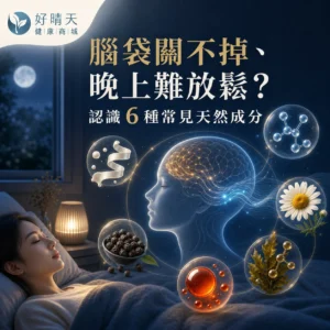 腦袋關不掉、晚上難放鬆?認識 6 種常見天然成分封面