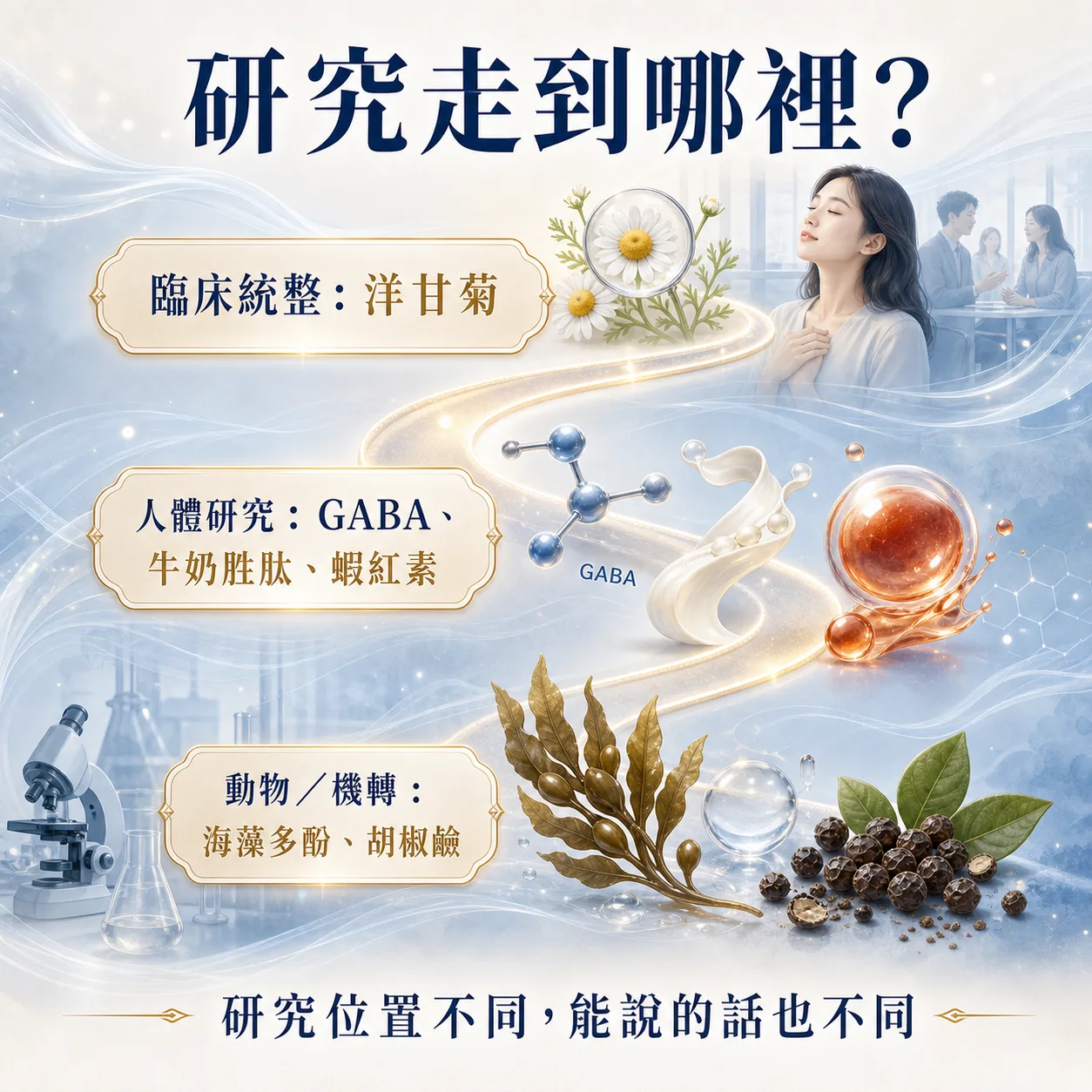 洋甘菊、GABA、牛奶胜肽、蝦紅素、海藻多酚與胡椒鹼研究位置圖