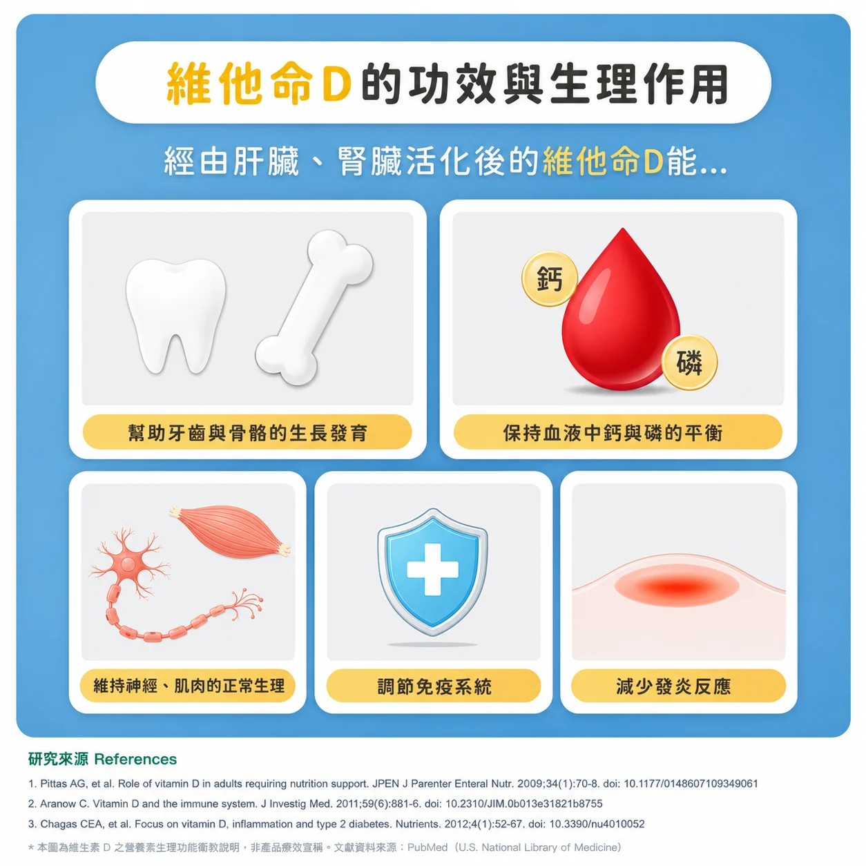 維他命 D 的功效與生理作用：幫助牙齒與骨骼生長發育、維持血鈣與磷平衡、維持神經肌肉正常生理、調節免疫系統、減少發炎反應（附研究文獻）